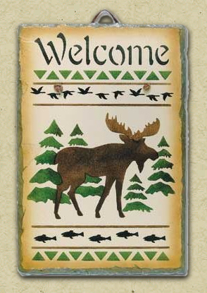 Come see Moose in New Hampshire - Stay at Spruce Moose Lodge in the White Mountains