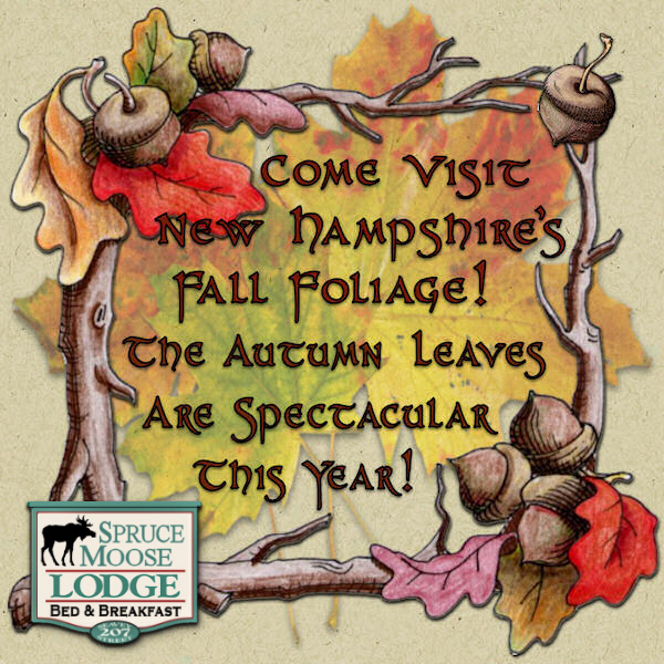New England Fall Foliage is the Best! Come visit! new england fall foliage in new hampshire usa
