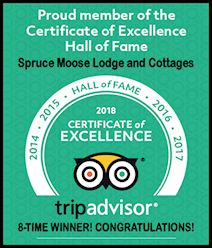 spruce moose lodge and cottages 8 time winner for best new hampshire bed and breakfast