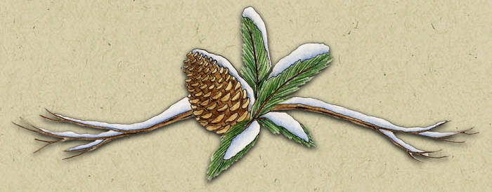 Winter Greetings to All - Great Skiing Here spruce moose lodge pinecone